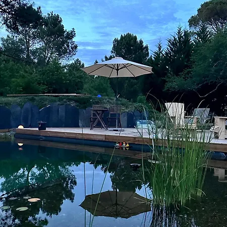 Bed & Breakfast Maison Magnolia
