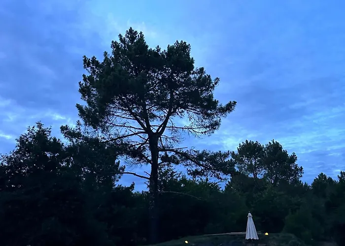 Maison Magnolia Onesse-et-Laharie