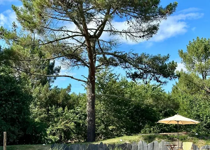 Maison Magnolia Nocleg ze śniadaniem Onesse-et-Laharie